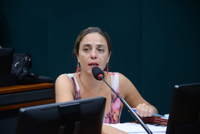 Relatório de Fernanda Melchionna sobre o Marco Regulatório de Fomento à Cultura é aprovado em Comissão da Câmara