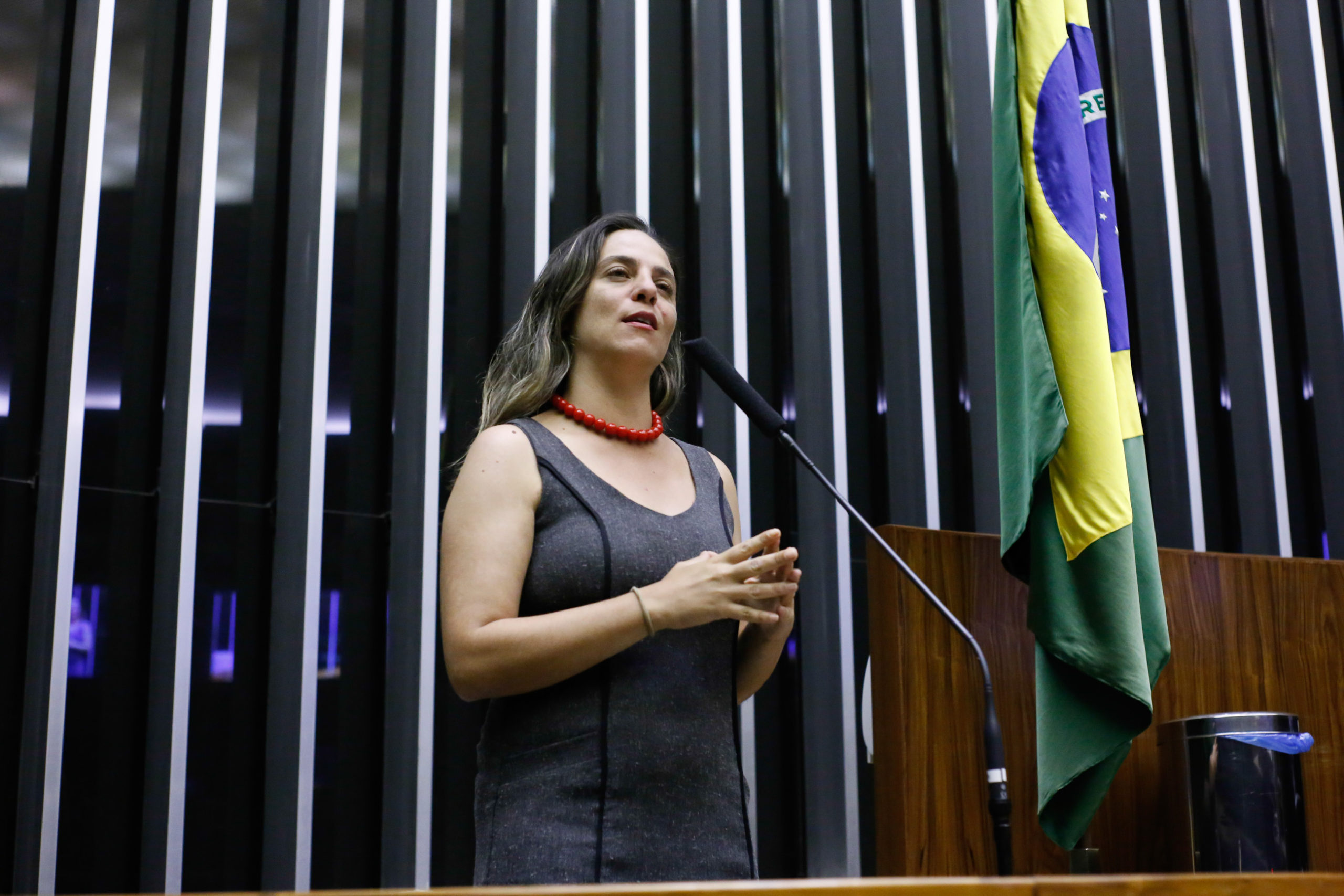 Comissão da Câmara aprova requerimento, de autoria de Fernanda Melchionna, para que ministro do TCU, Augusto Nardes, explique falas golpistas