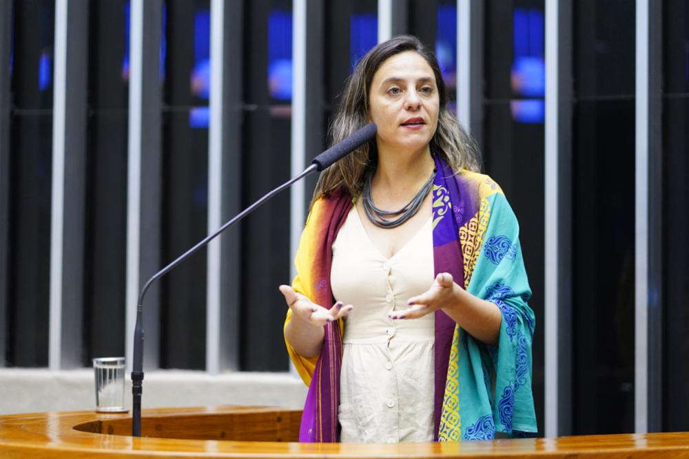 Fernanda Melchionna apresenta destaque para derrubar o Orçamento Secreto do Orçamento da União