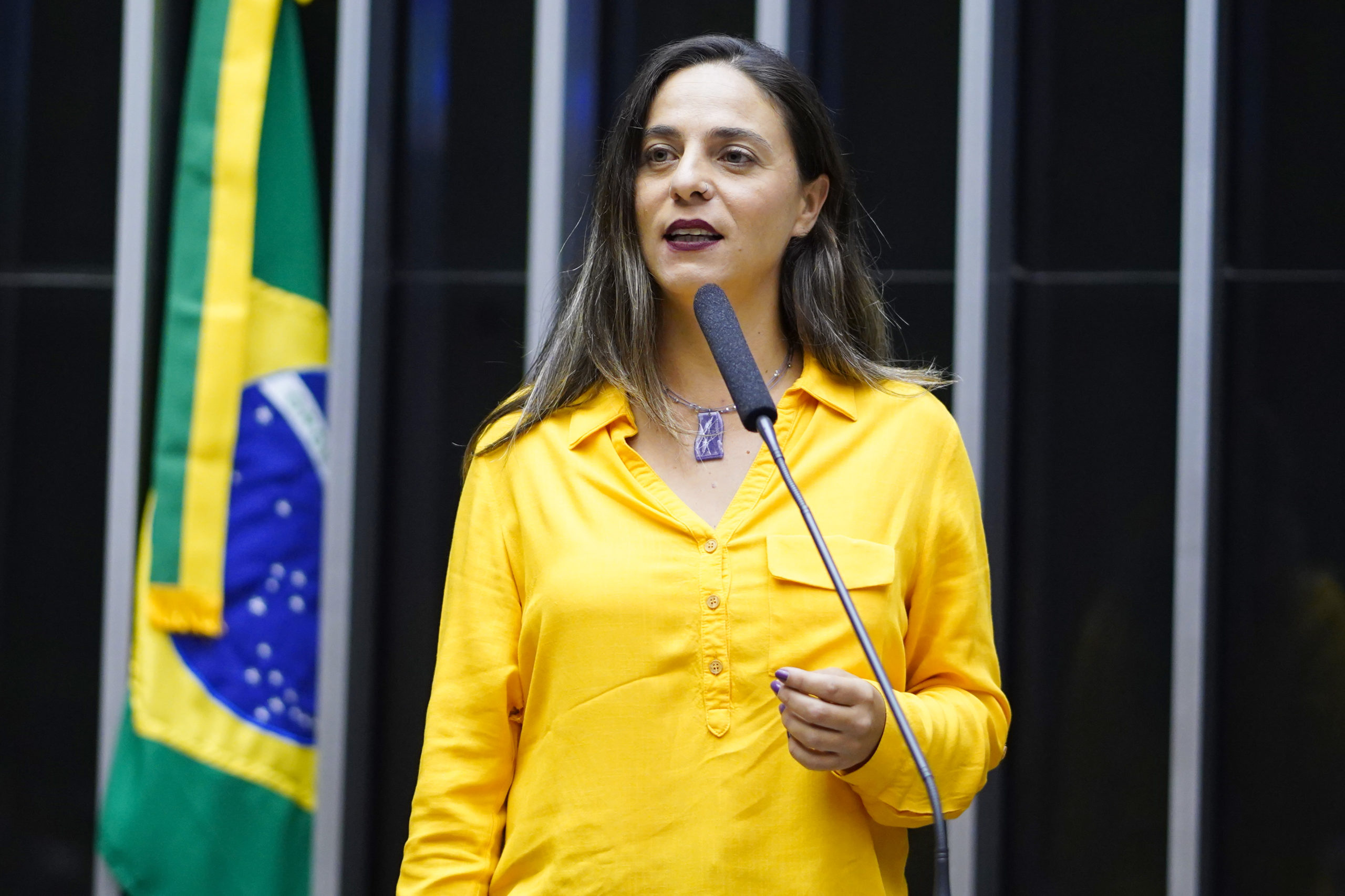 Fernanda Melchionna quer urgência em projeto de taxação das grandes fortunas