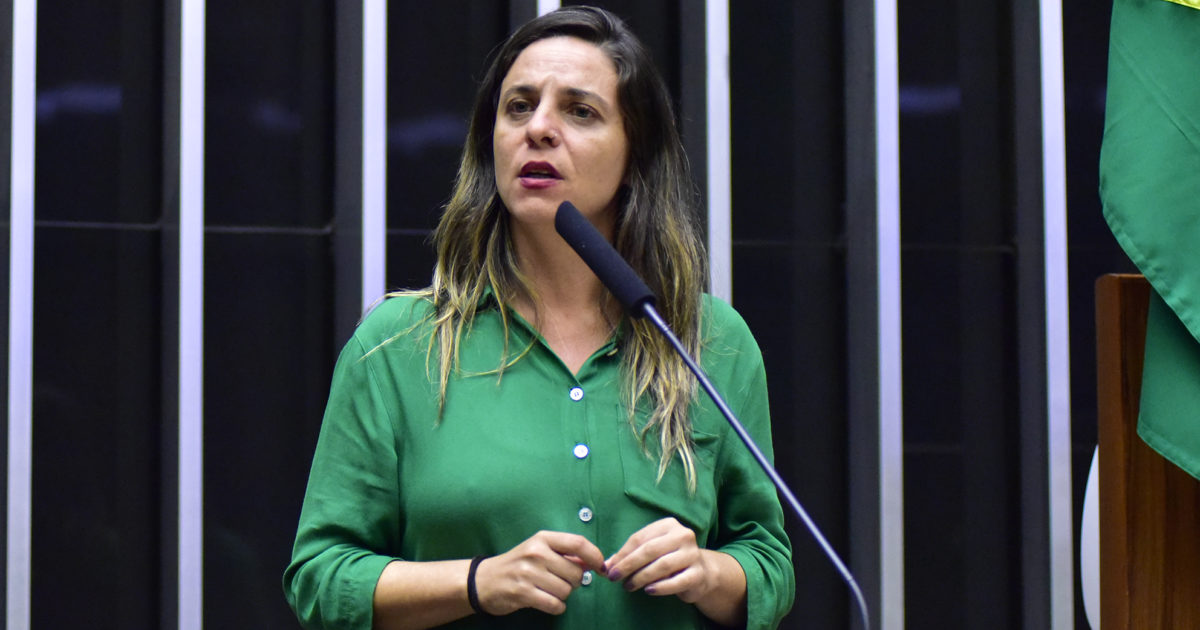 Fernanda Melchionna aciona o MPF contra PL aprovado em Santa Maria que submete mulheres vítimas de estupro a tortura