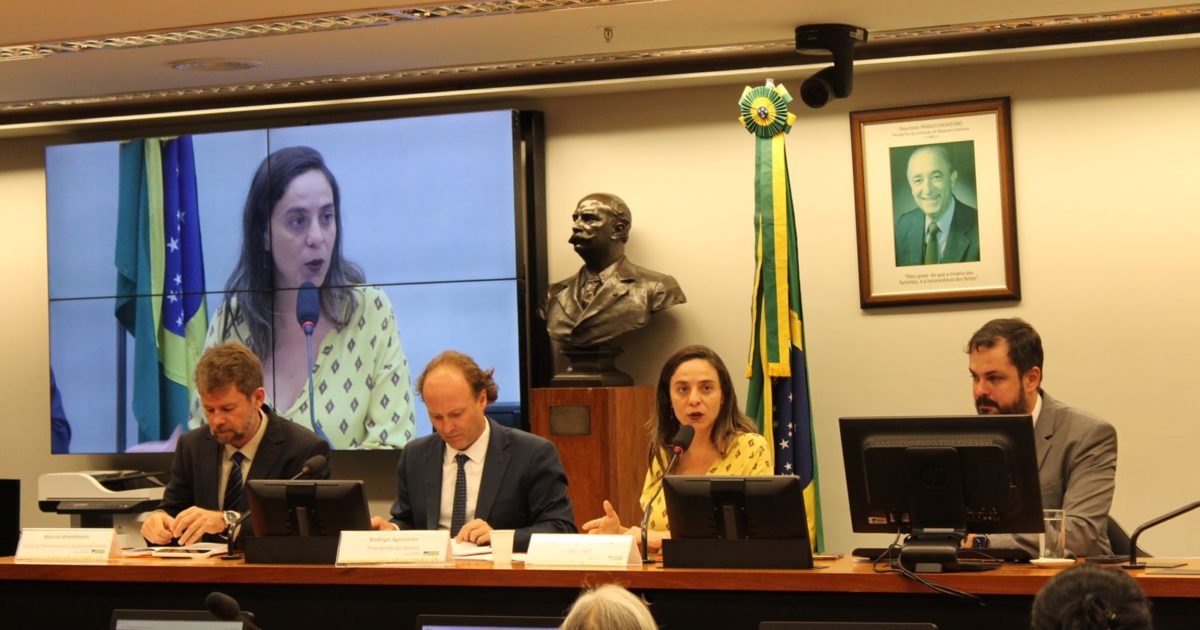 Especialistas e parlamentares debatem crise climática e ações necessárias em audiência pública proposta por Fernanda Melchionna