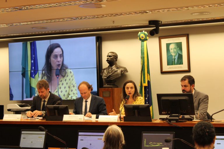 Especialistas e parlamentares debatem crise climática e ações necessárias em audiência pública proposta por Fernanda Melchionna