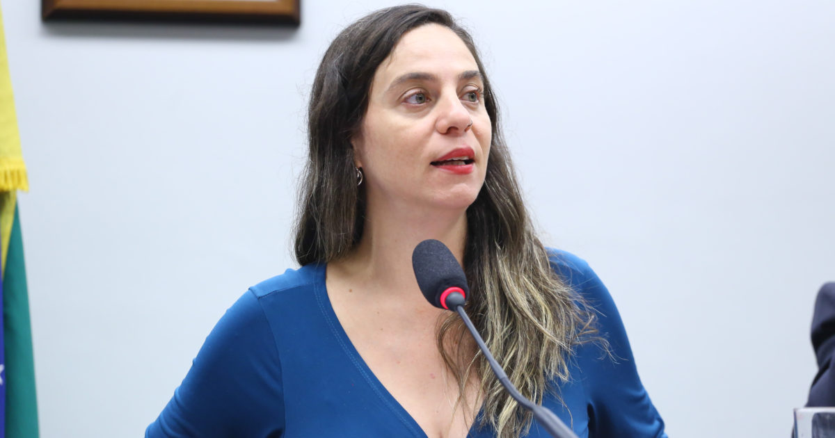 Fernanda Melchionna quer que deputados federais que propagaram fake news sobre catástrofe no RS sejam responsabilizados criminalmente