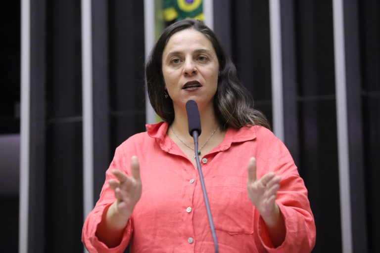 Emenda de Fernanda Melchionna garante isenção de imposto sobre livros na Reforma Tributária