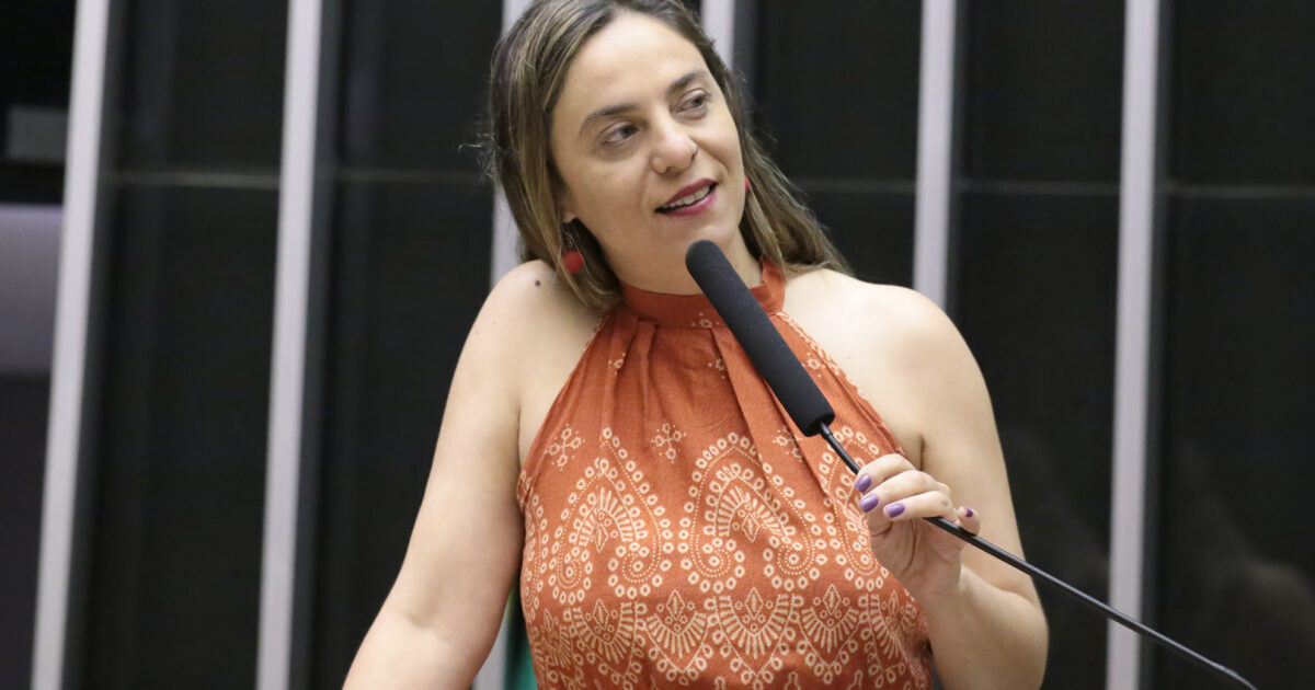 Fernanda Melchionna protocola projeto que garante gratuidade de dois itens pessoais em voos nacionais