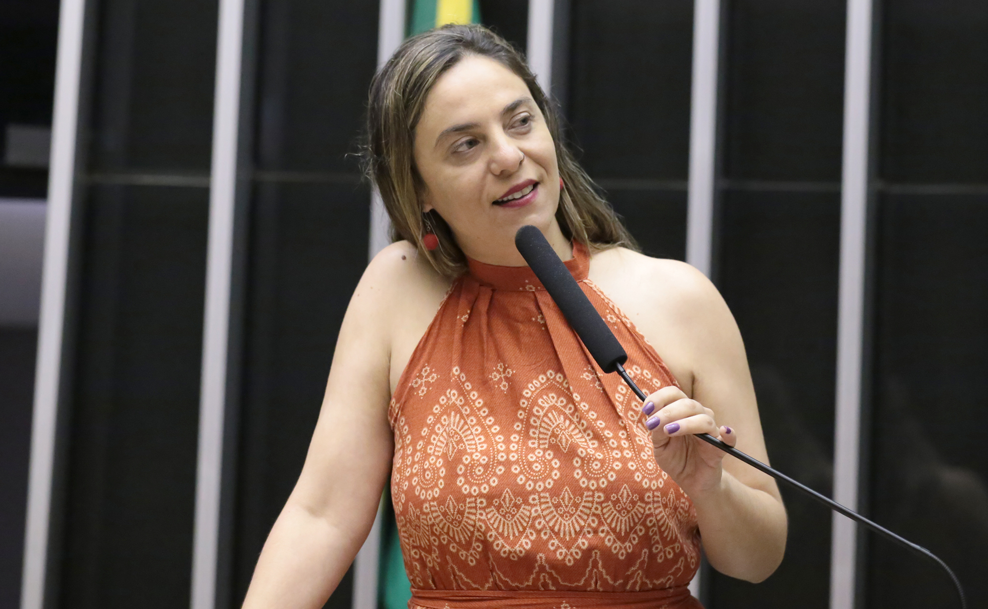 Fernanda Melchionna protocola projeto que garante gratuidade de dois itens pessoais em voos nacionais