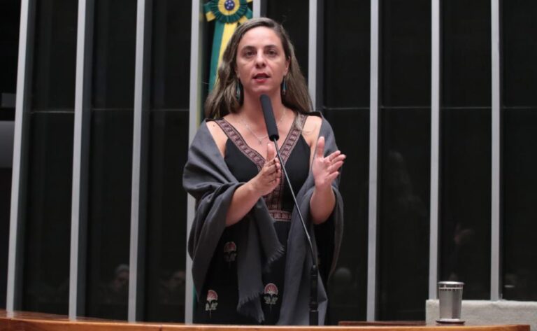 Fernanda Melchionna solicita lista de passageiros de jatinhos de Vorcaro