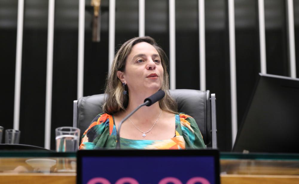 Fernanda Melchionna apresenta projeto de lei para dar um basta aos juros abusivos de créditos consignados