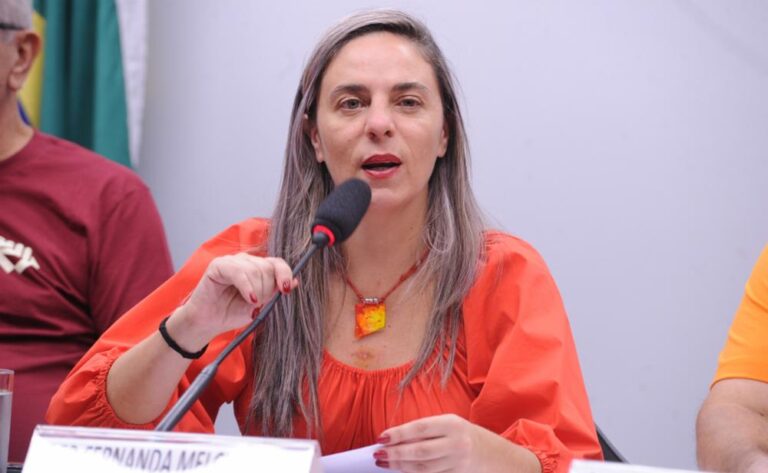 Fernanda Melchonna realiza audiências públicas com metroviários e auditores da defensoria pública na Câmara dos Deputados